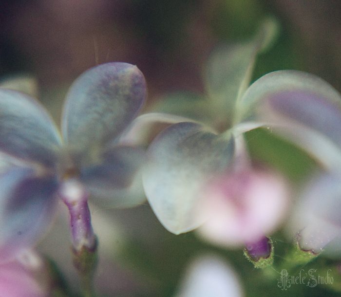 Природа
